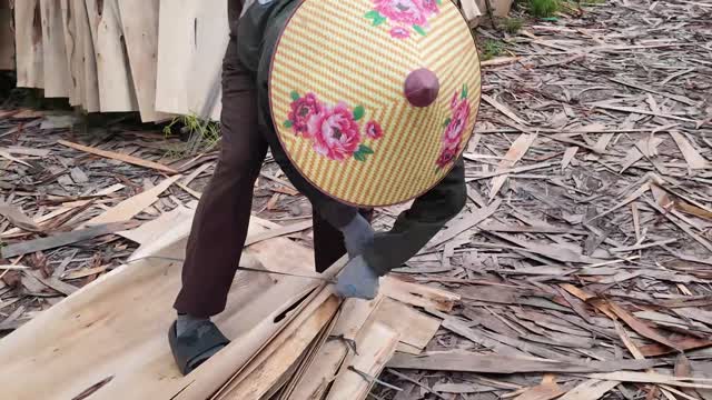 Worker Gathering Veneer Sheets