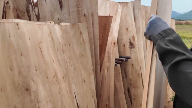 Gloved Hand On Veneer Boards