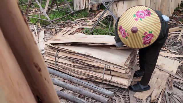 Worker Carrying Wood Veneer