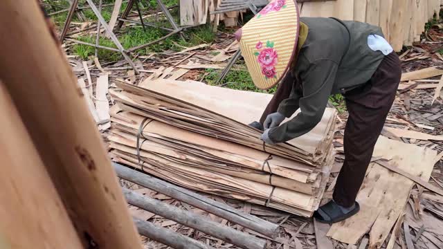 Sorting Peeled Veneer Sheets