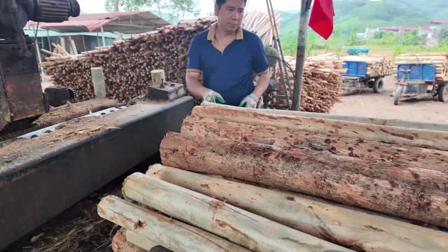 Feeding Log Into Peeler