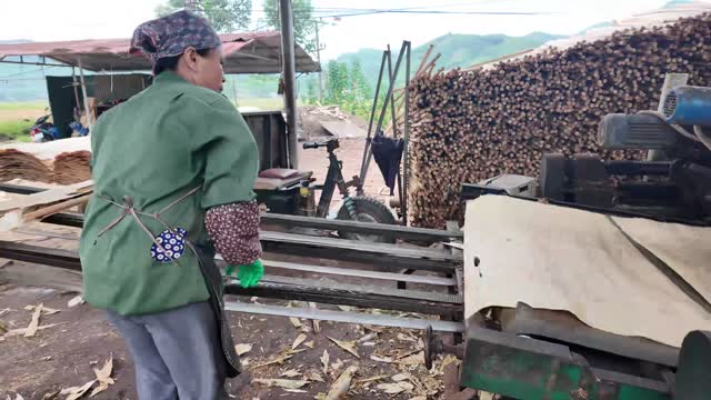 Woman Operating Log Machine