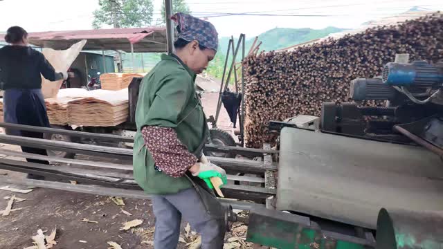 Feeding Wood Into Peeler
