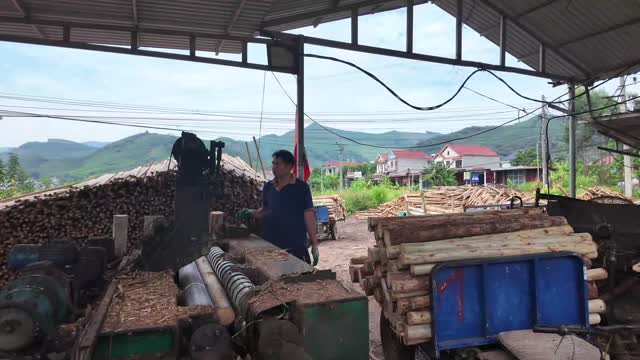 Worker At Sawmill Debarker