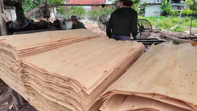 Stacked Veneer Sheets Close Up
