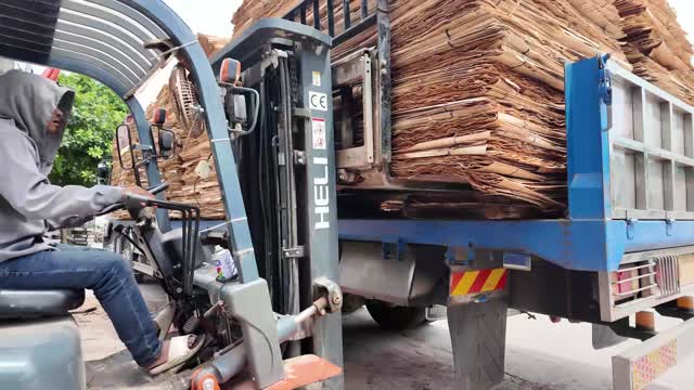 Forklift Loading Veneer Truck