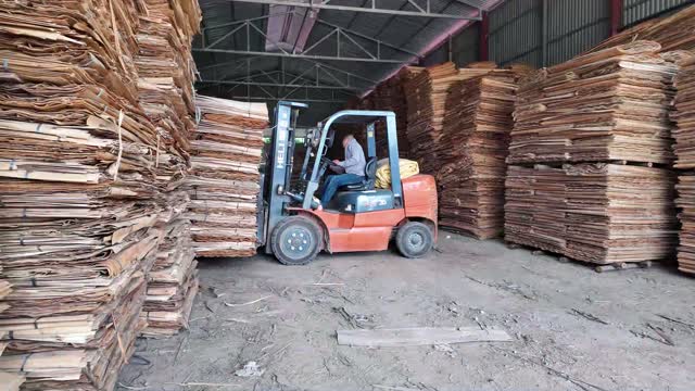 Forklift In Veneer Warehouse