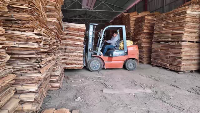 Driver Operating Forklift
