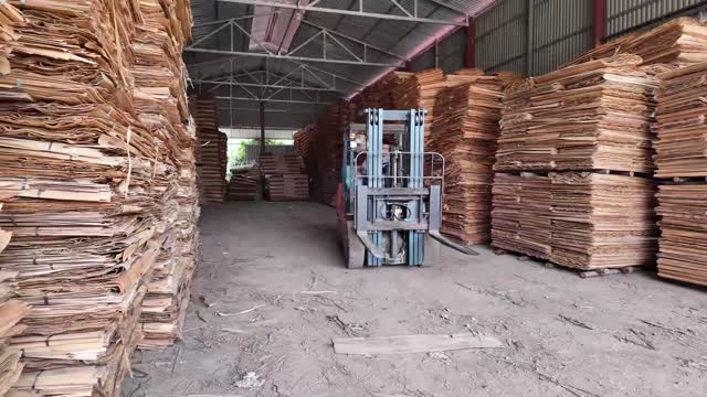 Warehouse Full Of Veneer
