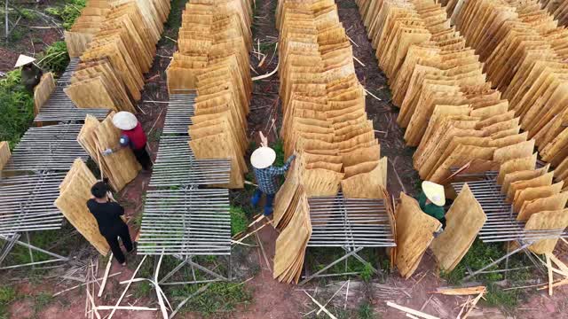 Aerial Over Veneer Drying Racks