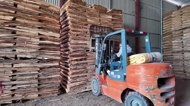 Forklift Between Veneer Stacks