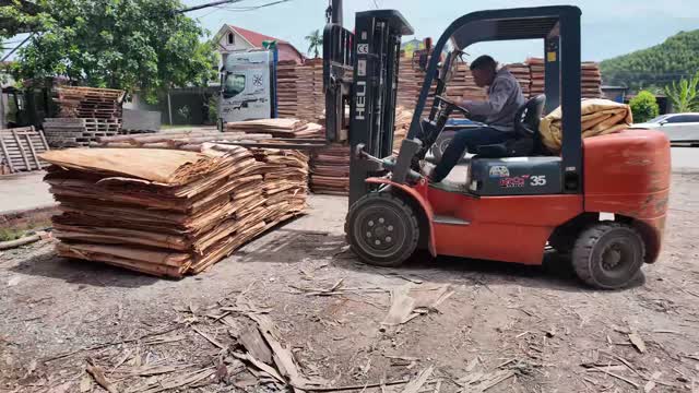 Forklift Loading Veneer Outdoors