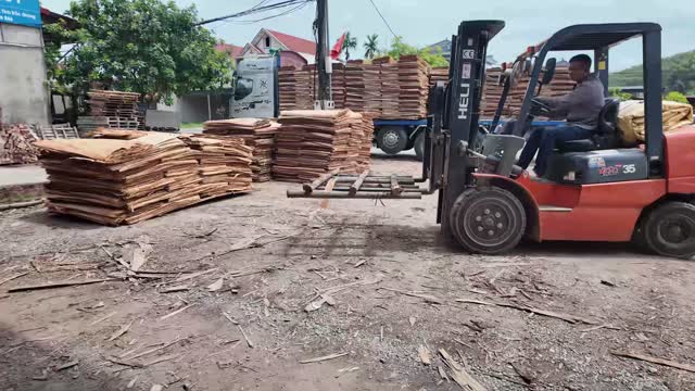 Timber Yard With Forklift