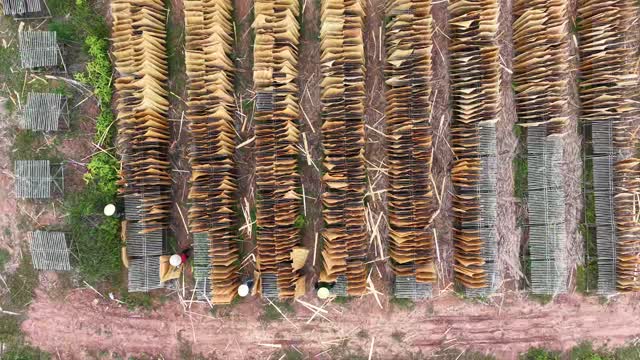 Top Down Veneer Drying Field