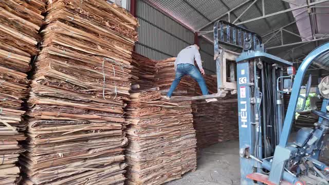 Worker Climbing Veneer Stacks