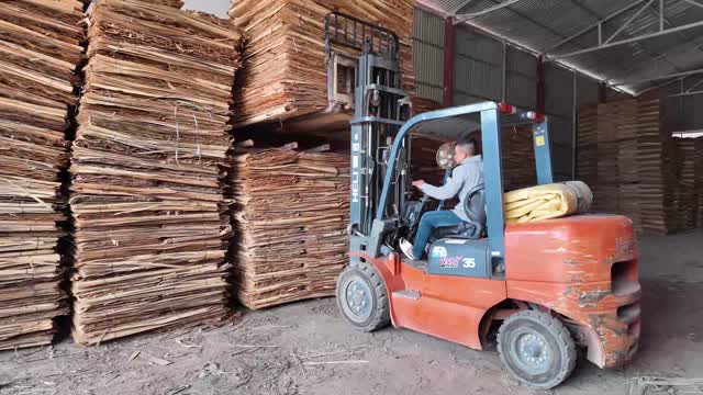 Forklift Between Timber Piles