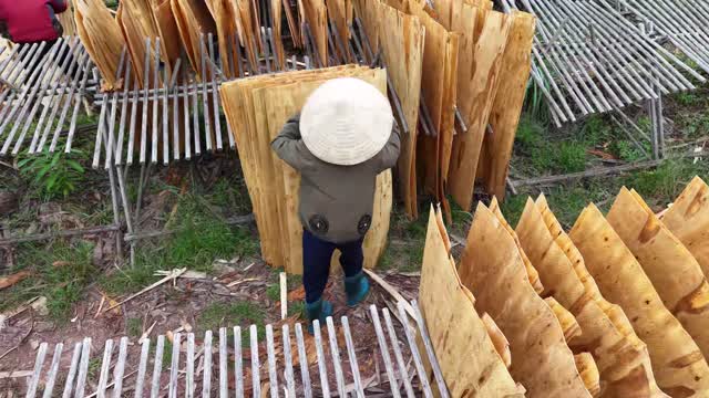 Worker Carrying Veneer Sheets