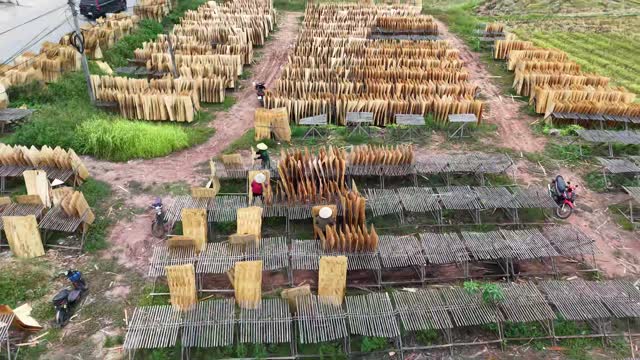 Aerial Over Drying Field