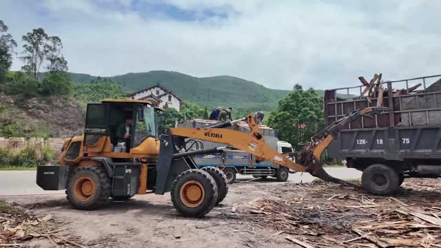 Loader Filling Timber Truck