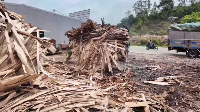 Loader Gathering Wood Scrap