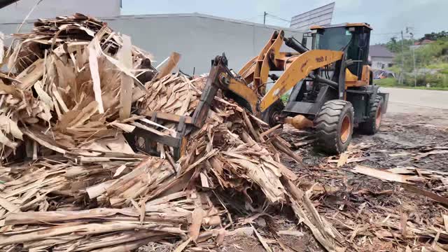 Forklift Carrying Logs In Yard