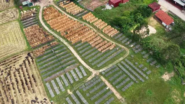 Aerial Over Timber Drying Yard