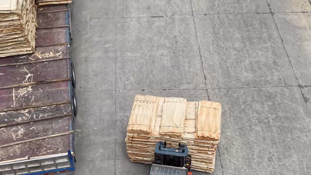 Top Down Forklift Moving Veneer