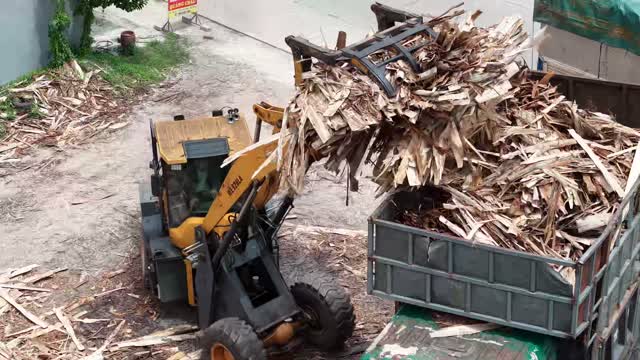Loader Dumping Wood Into Truck