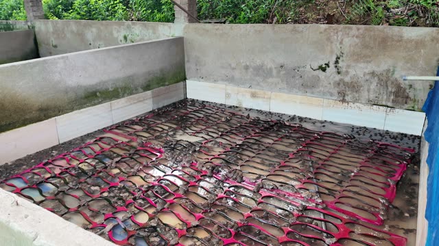 Many Frogs In A Farm Pen