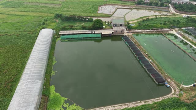 Net-Covered Frog Pond