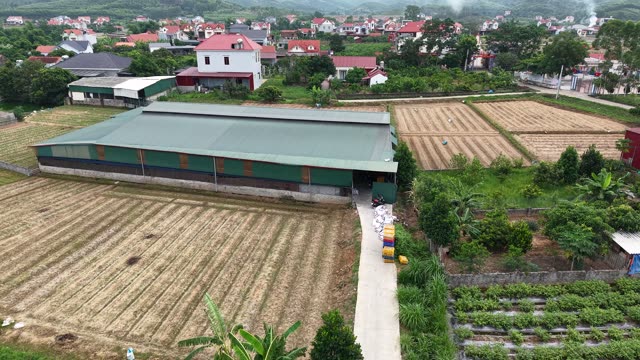 Pigeon Farm Below The Hills — Shot 2