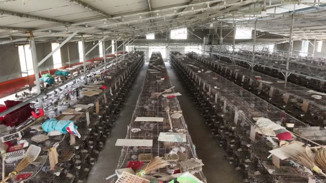 Wide View Of Pigeon Cages — Shot 1