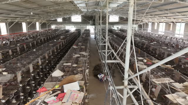 Wide View Of Pigeon Cages — Shot 2