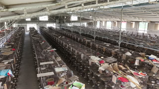 Long Rows Of Pigeon Cages — Shot 2