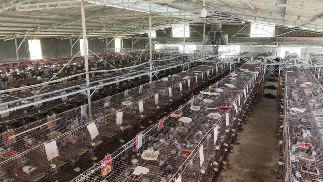 Farm Workers Between Cages — Shot 2