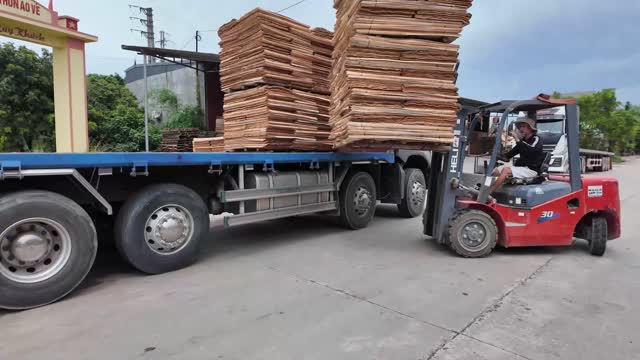 Forklift Loading Plywood Sheets