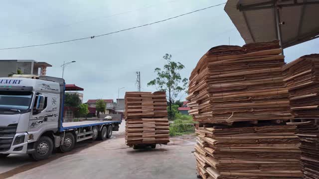 Truck And Veneer Stacks