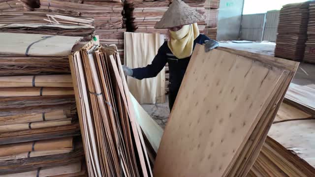 Worker Inspects Veneer Sheet