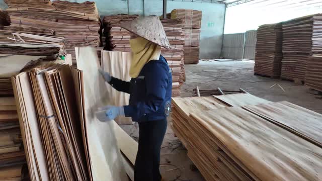 Sorting Plywood Veneer Stacks