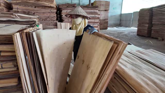 Carrying Stacked Veneer Sheets