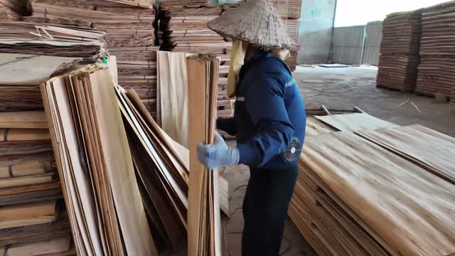 Stacking Veneer In Workshop