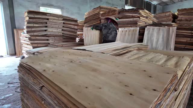Piles Of Wood Veneer Sheets