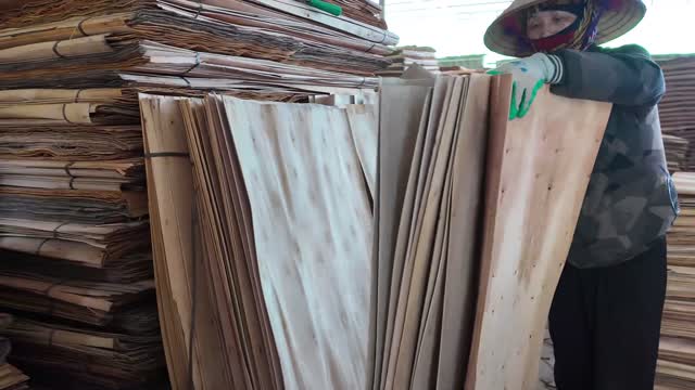 Worker Lifts Veneer Sheets