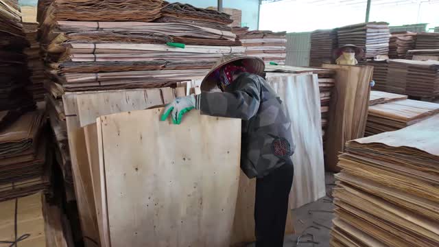Worker Steadies Veneer Board