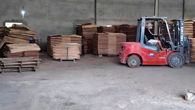 Forklift Hauls Timber Indoors