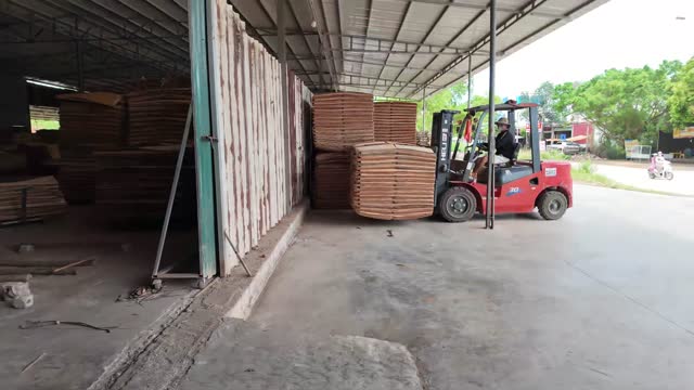 Forklift Moving Veneer Stacks