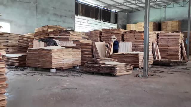 Veneer Warehouse With Worker