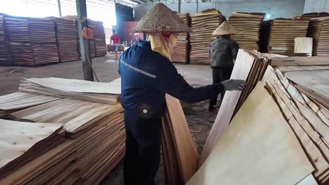 Workers Move Veneer Sheets