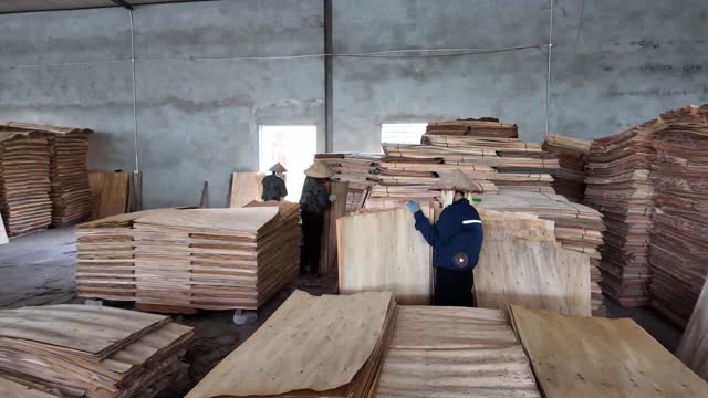 Sorting Veneer By The Wall