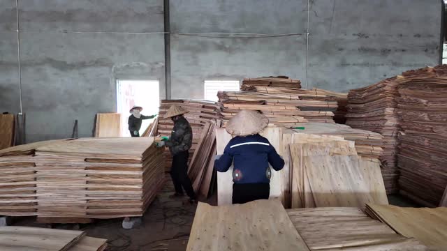 Workers Stack Wood Veneer